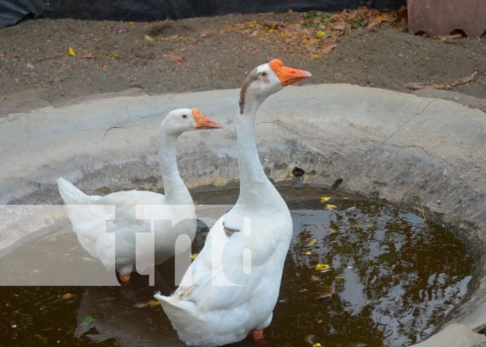 finca4 La Concepción, una de las zonas más productivas