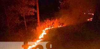 Foto: Incendio forestal en comunidades de Ciudad Antigua, Nueva Segovia / TN8