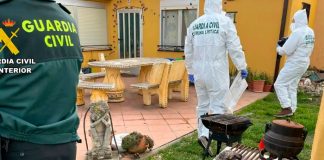 Padre asesina a sus dos hijas y se suicida en España