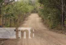 Familias de La Chipopa, en Nandaime, contentos por mejora de caminos Foto: Mejoramiento de caminos en la zona rural de Nandaime / TN8