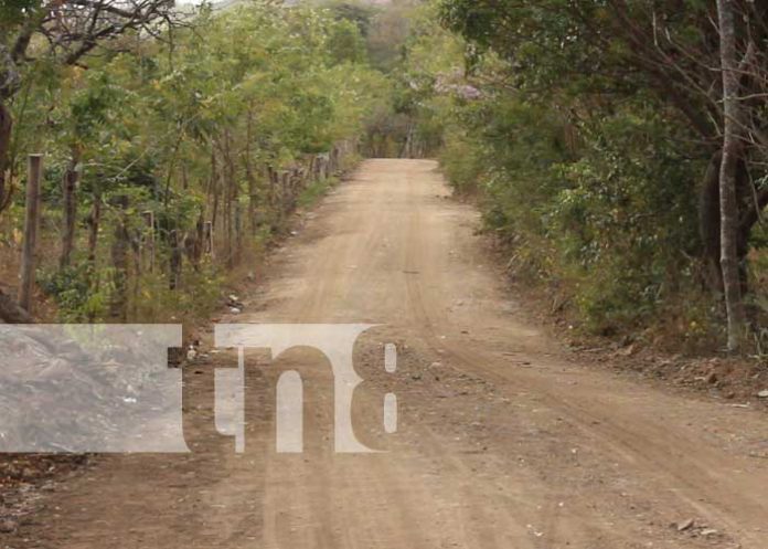 nandi-mono-1 Foto: Mejoramiento de caminos en la zona rural de Nandaime / TN8