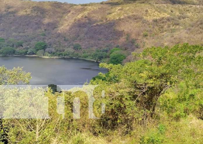 Foto: Descubrimiento histórico y arqueológico en la Laguna de Nejapa / TN8