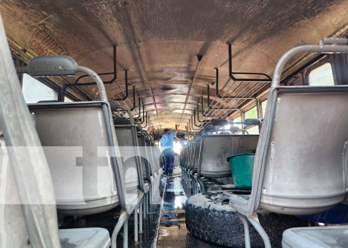 Vivos de milagro en León 