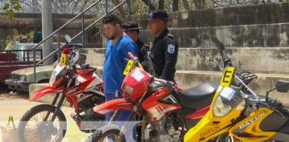 Foto: Incautación de marihuana en Nueva Segovia / TN8
