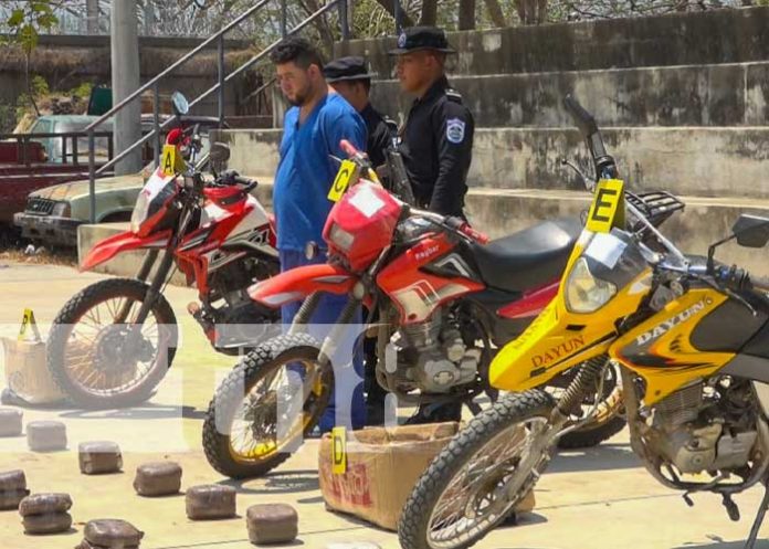 Foto: Incautación de marihuana en Nueva Segovia / TN8