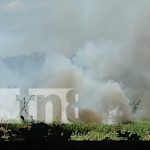 Enormes columnas de fuego en terrenos cerca del centro turístico de Granada Foto: Incendio forestal cerca del centro turístico de Granada / TN8