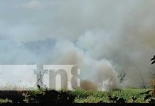 Enormes columnas de fuego en terrenos cerca del centro turístico de Granada Foto: Incendio forestal cerca del centro turístico de Granada / TN8