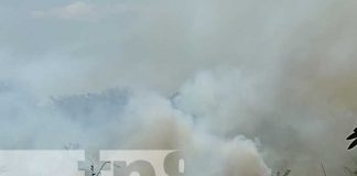Foto: Incendio forestal cerca del centro turístico de Granada / TN8