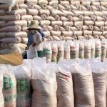 Se llevó el susto de su vida: Mujer es aplastada por 40 sacos de arroz en India Aplastada por 40 sacos de arroz en India