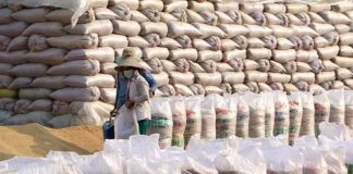 Aplastada por 40 sacos de arroz en India