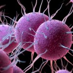 Aumentan enfermedades de transmisión sexual en Europa