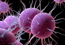 Europa en alerta por el aumento de las enfermedades de transmisión sexual Aumentan enfermedades de transmisión sexual en Europa