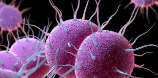 Aumentan enfermedades de transmisión sexual en Europa