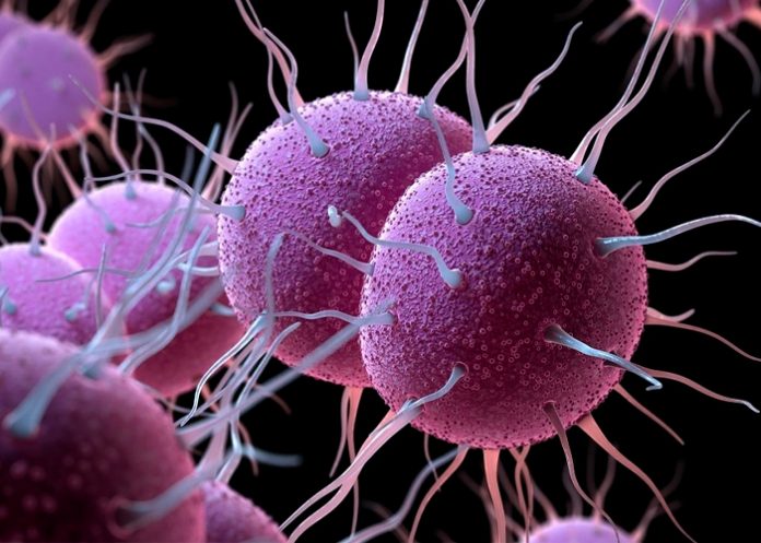 sexo Aumentan enfermedades de transmisión sexual en Europa