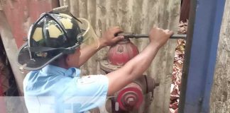 Foto: Inspección de bomberos en el Mercado Mayoreo / TN8