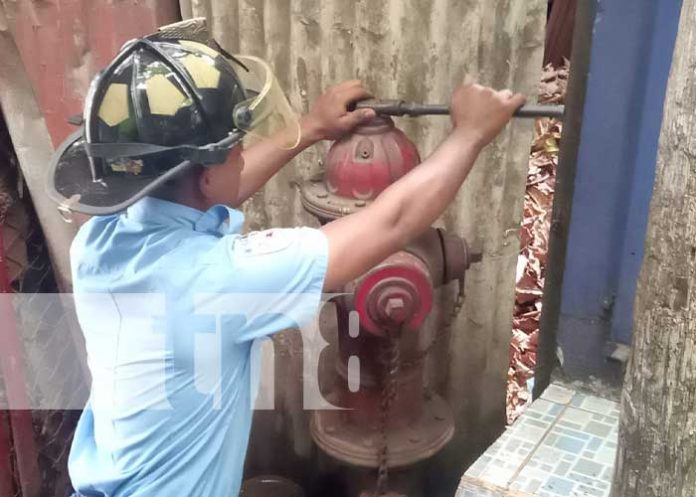 Foto: Inspección de bomberos en el Mercado Mayoreo / TN8