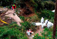 Foto: Colombia crea grupos de investigación /cortesía