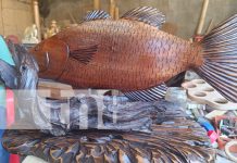 Visita el taller de Arte D' Téllez y conoce el arte detrás de cada pieza en Managua