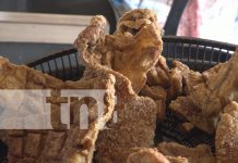 Foto: ¡Fricarne! Los deliciosos chicharrones de cerdo que deleitan a las familias en Rivas/TN8