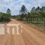 Foto: Caminos productivos benefician a más de 2 mil personas de 7 comunidades indígenas/TN8