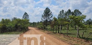 Foto: Caminos productivos benefician a más de 2 mil personas de 7 comunidades indígenas/TN8