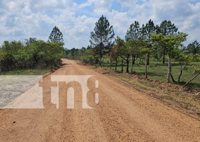 1 Foto: Caminos productivos benefician a más de 2 mil personas de 7 comunidades indígenas/TN8