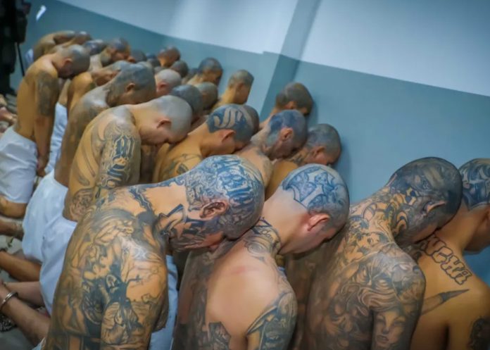 1 Condenan a 14 pandilleros a penas de hasta 120 años en El Salvador