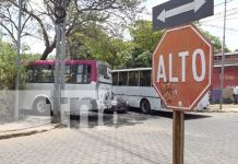 Foto: ¡Irresponsabilidad al volante! Microbús no respeta señal de tránsito y provoca incidente/TN8