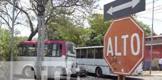 Foto: ¡Irresponsabilidad al volante! Microbús no respeta señal de tránsito y provoca incidente/TN8