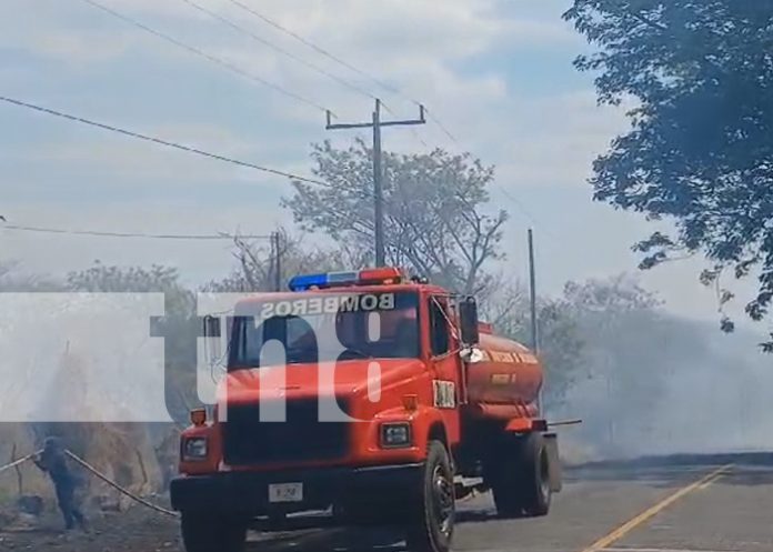 1 Foto: Mano del hombre, es el principal causante de los incendios forestales en Rivas/TN8