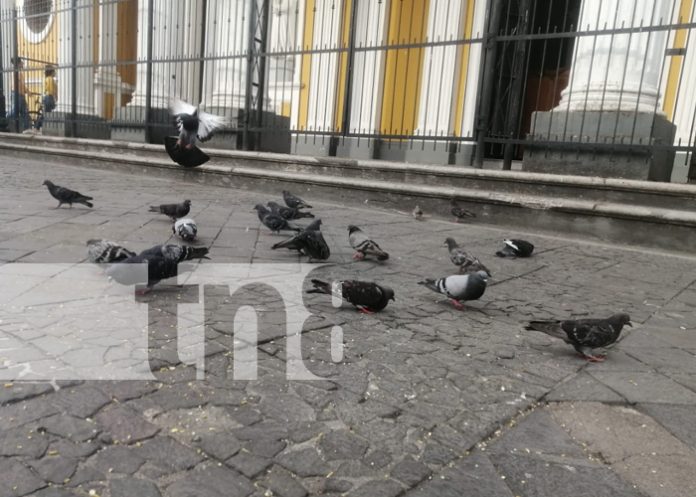 Foto: Familias de diferentes puntos del país disfrutan de las tardes en Granada/TN8