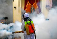 Foto: Dengue azota Guatemala /cortesía