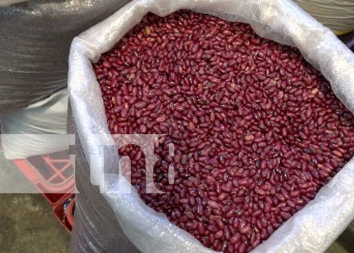 1 Foto: Bajan precios de productos clave en Nicaragua, según informe del MIFIC/TN8