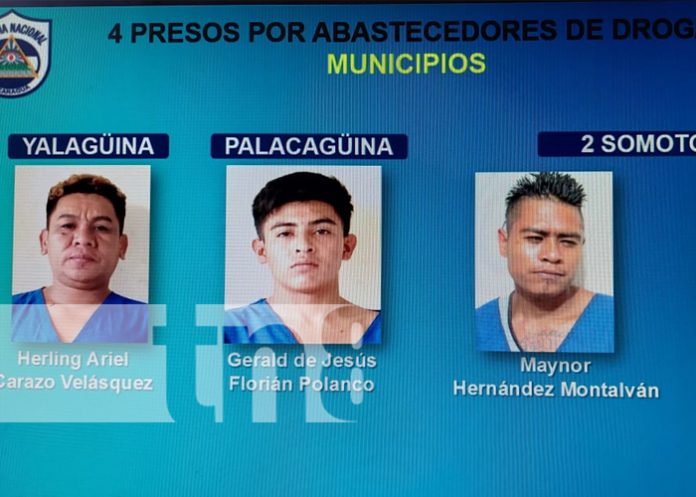 Foto: Delincuentes que abastecían con droga municipios en Madriz están tras las rejas / TN8