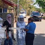 Abejas africanizadas mandan al hospital a un menor de edad y su padre en Carazo Foto: Abejas africanizadas mandan al hospital a un menor de edad y su padre en Carazo/TN8