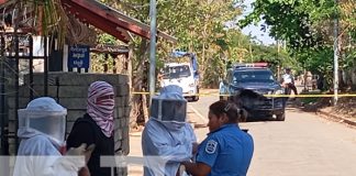 Foto: Abejas africanizadas mandan al hospital a un menor de edad y su padre en Carazo/TN8