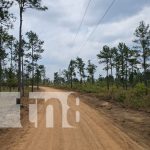 Alcaldía de Puerto Cabezas garantiza mejores carreteras a pequeños productores indígenas Foto: Alcaldía de Puerto Cabezas garantiza mejores carreteras a pequeños productores indígenas/TN8