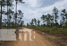 Alcaldía de Puerto Cabezas garantiza mejores carreteras a pequeños productores indígenas Foto: Alcaldía de Puerto Cabezas garantiza mejores carreteras a pequeños productores indígenas/TN8