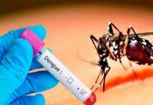 Se confirman menos contagios de dengue, neumonía e influenza en Nicaragua Se confirman menos contagios de dengue, neumonía e influenza en Nicaragua