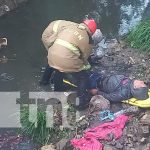Enjambre de abejas atacan salvajemente a un hombre en Estelí Foto: Enjambre de abejas atacan salvajemente a un hombre en Estelí/TN8