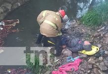 Enjambre de abejas atacan salvajemente a un hombre en Estelí Foto: Enjambre de abejas atacan salvajemente a un hombre en Estelí/TN8