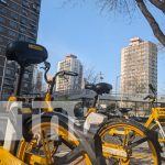 Desde la casa de Xi Jinping Foto: Desde la casa de Xi Jinping/TN8