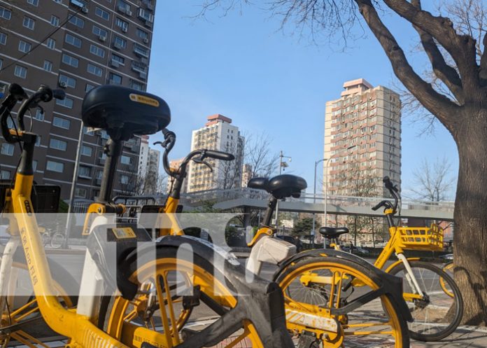 Foto: Desde la casa de Xi Jinping/TN8