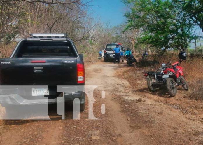 Hallazgo en Las Prusias-Granada