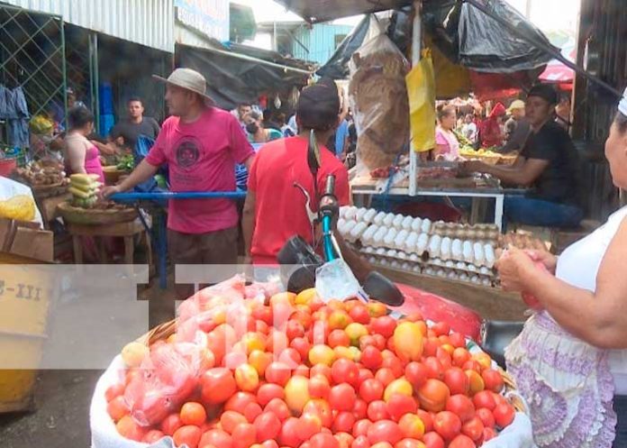 Informe semanal brindado MIFIC e INDEC