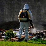 Foto: Dengue en Brasil /cortesía