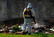 Foto: Dengue en Brasil /cortesía
