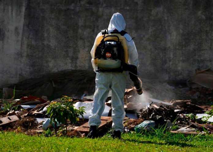 Foto: Dengue en Brasil /cortesía