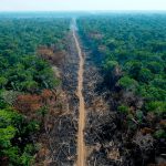 Brasil destina fondos para combatir la deforestación en Amazonia Foto: Brasil invierte en la Amazonia /cortesía