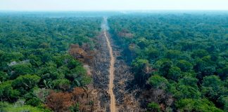 Foto: Brasil invierte en la Amazonia /cortesía